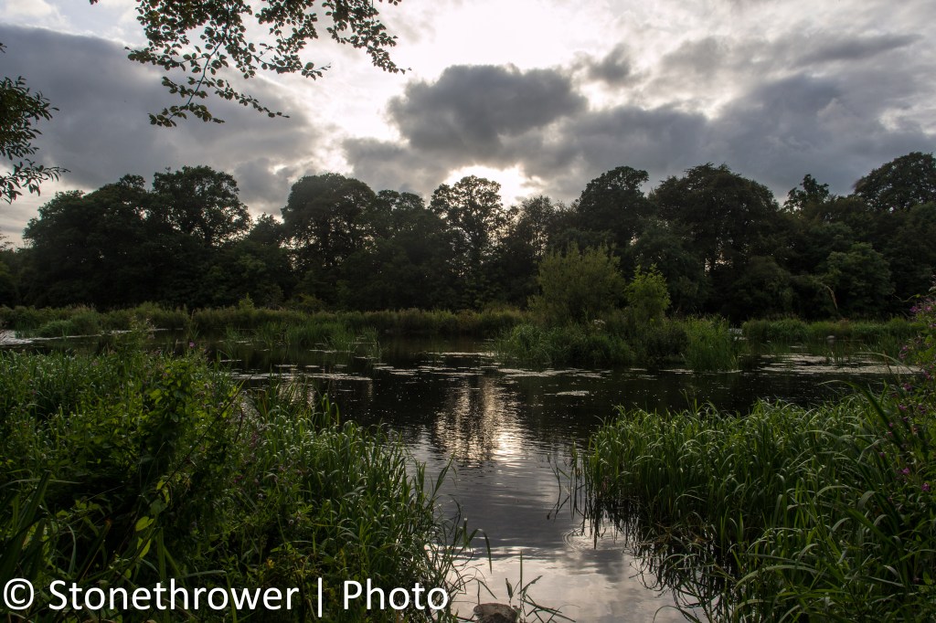 Thought for the&nbsp;Day