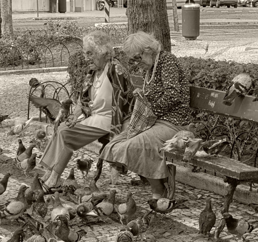 Human Rights of Older Persons – an Emerging&nbsp;Concern