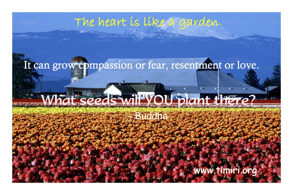 Thought for the&nbsp;Day