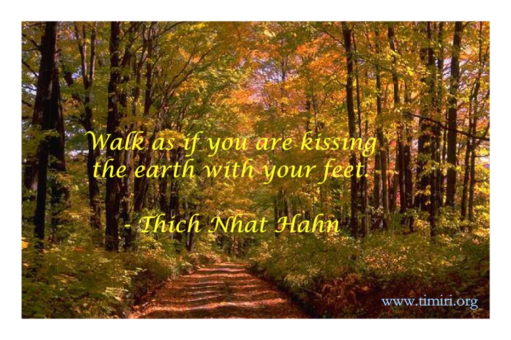 Thought for the&nbsp;Day