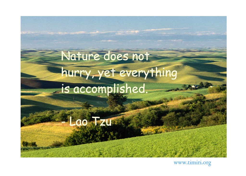 Thought for the&nbsp;Day