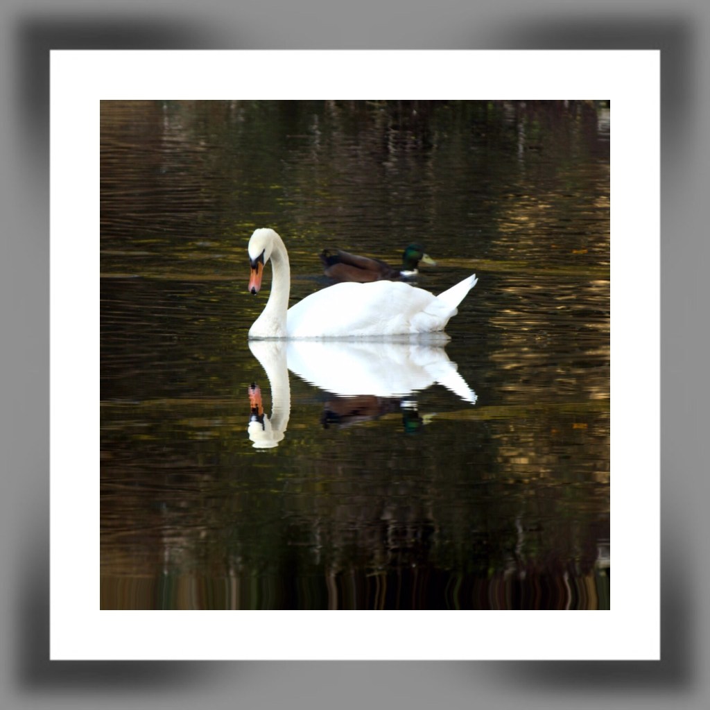 Thought for the&nbsp;Day