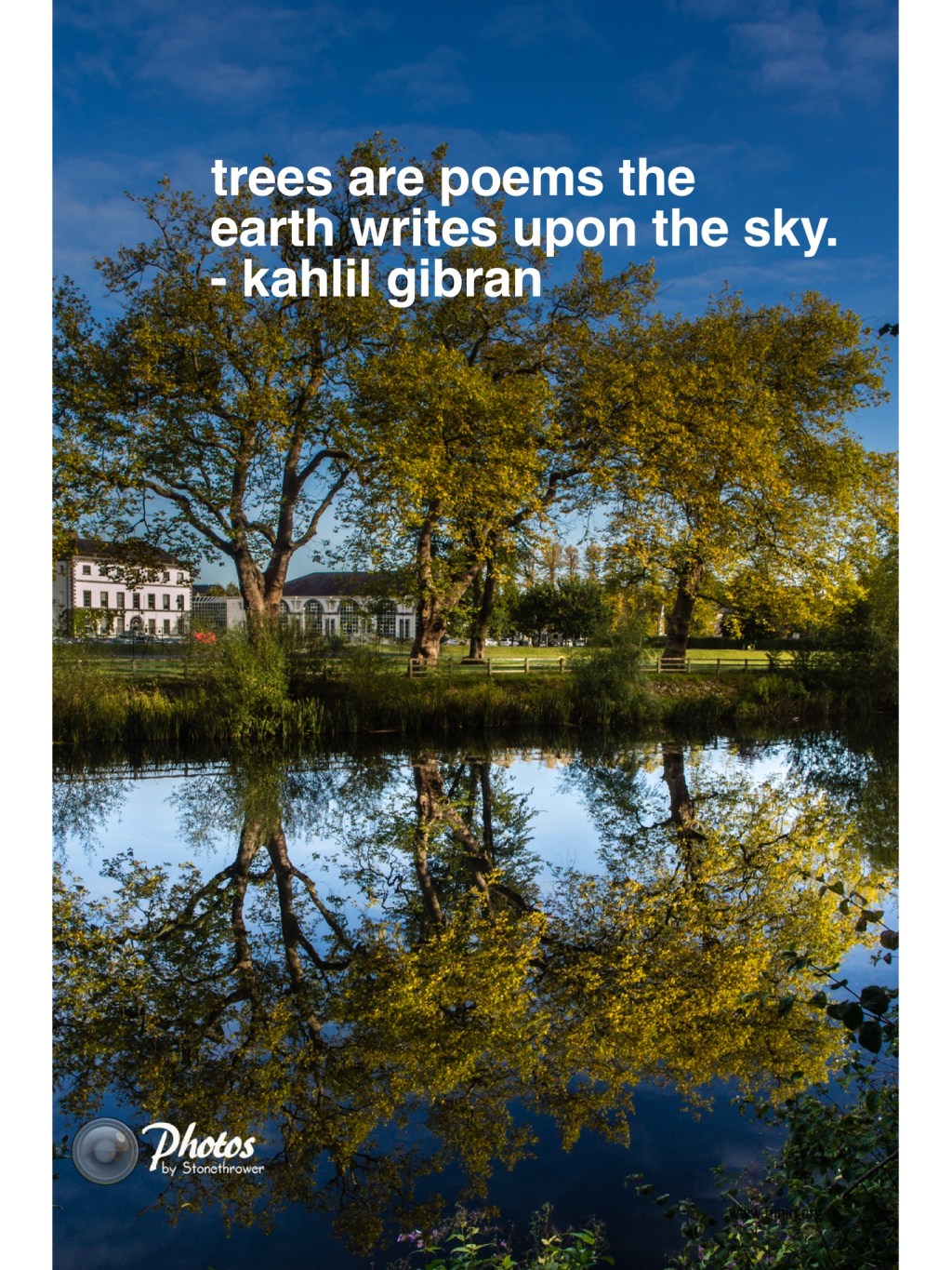 Thought for the&nbsp;Day