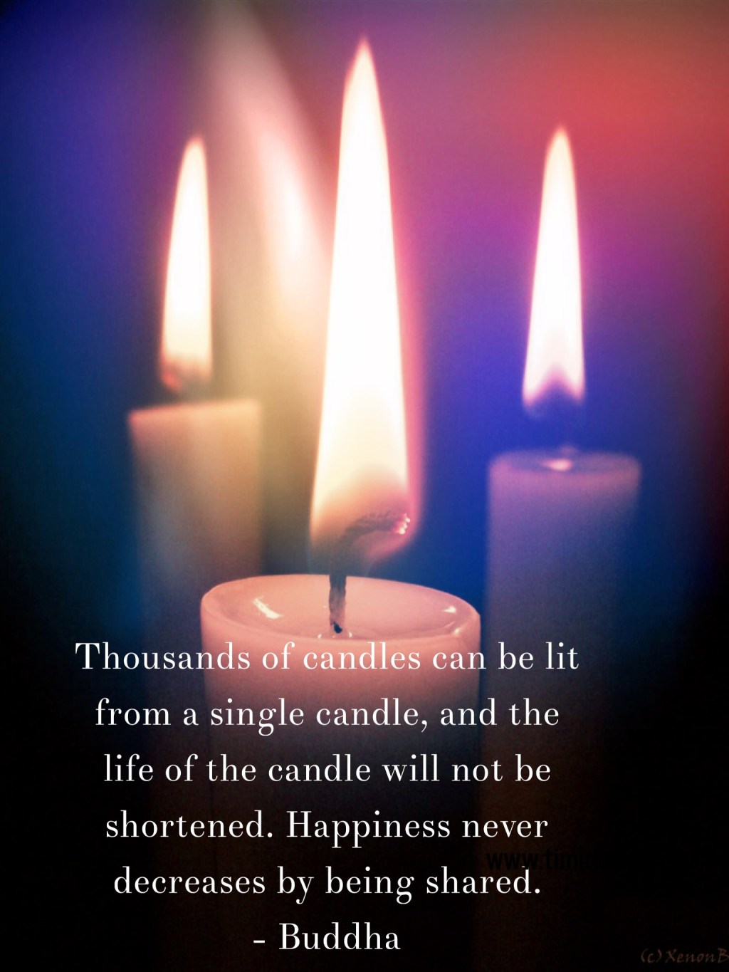 Thought for the&nbsp;Day