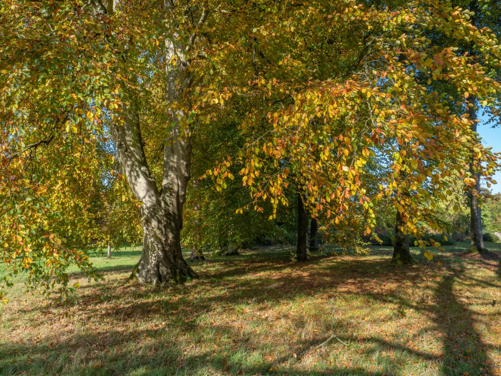 Open your eyes to the Beauty of&nbsp;Nature