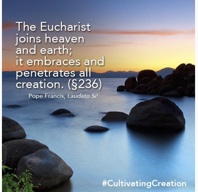 Celebrating Eucharist in the context of the New Story – Diarmuid Ó&nbsp;Murchú